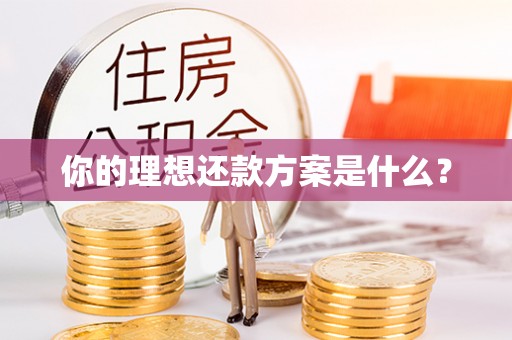 龙子湖你的理想还款方案是什么？