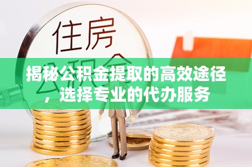 龙子湖揭秘公积金提取的高效途径，选择专业的代办服务