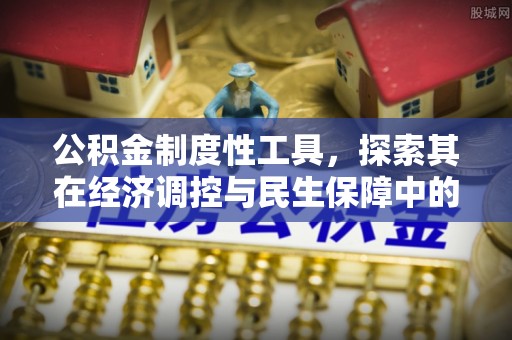 龙子湖公积金制度性工具，探索其在经济调控与民生保障中的重要作用