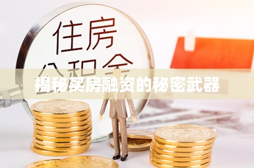 龙子湖揭秘买房融资的秘密武器