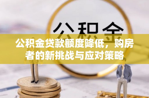 龙子湖公积金贷款额度降低，购房者的新挑战与应对策略