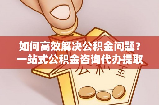 龙子湖如何高效解决公积金问题？一站式公积金咨询代办提取服务全解析