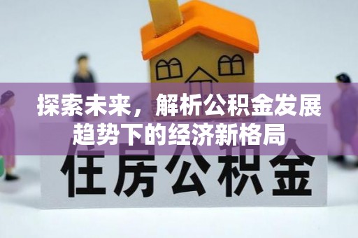 龙子湖探索未来，解析公积金发展趋势下的经济新格局