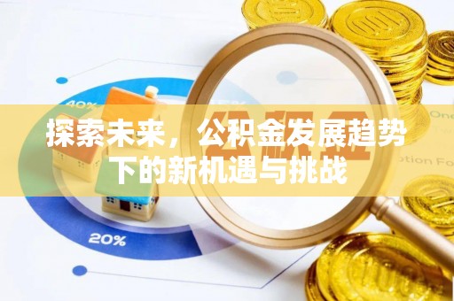 龙子湖探索未来，公积金发展趋势下的新机遇与挑战