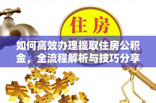 龙子湖如何高效办理提取住房公积金，全流程解析与技巧分享