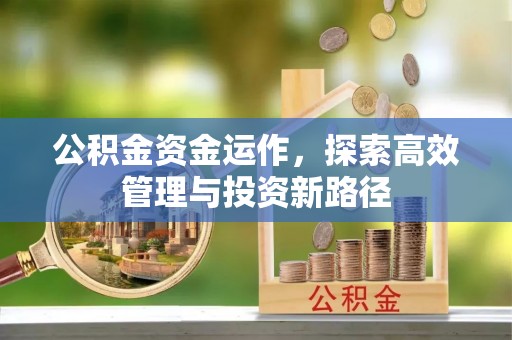 龙子湖公积金资金运作，探索高效管理与投资新路径