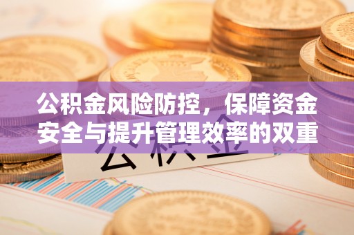 龙子湖公积金风险防控，保障资金安全与提升管理效率的双重探索