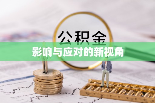 龙子湖影响与应对的新视角