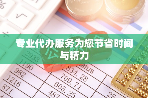 龙子湖专业代办服务为您节省时间与精力