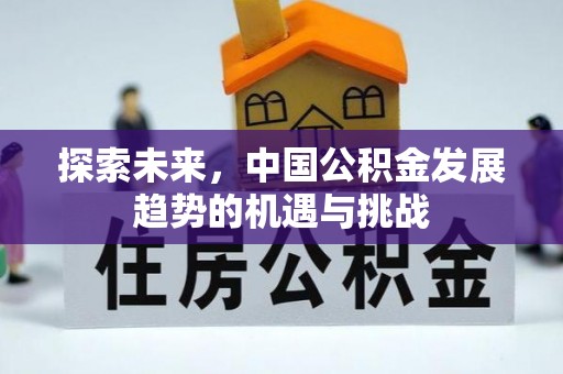 龙子湖探索未来，中国公积金发展趋势的机遇与挑战