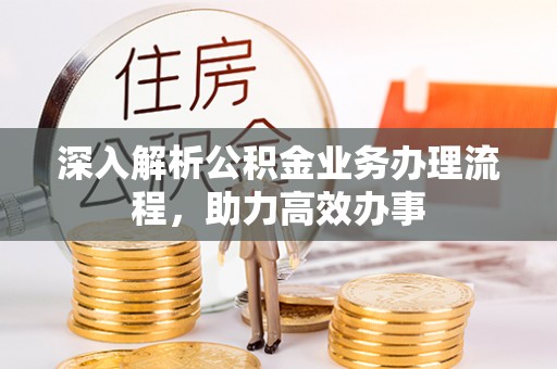 龙子湖深入解析公积金业务办理流程，助力高效办事
