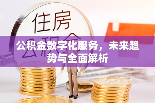 龙子湖公积金数字化服务，未来趋势与全面解析