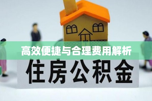 龙子湖高效便捷与合理费用解析