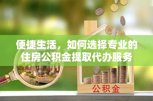 龙子湖便捷生活，如何选择专业的住房公积金提取代办服务