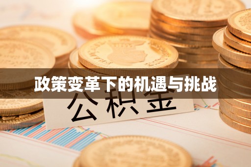 龙子湖政策变革下的机遇与挑战