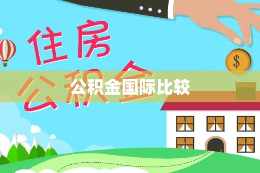 龙子湖公积金国际比较