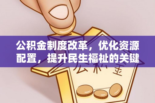 龙子湖公积金制度改革，优化资源配置，提升民生福祉的关键一步