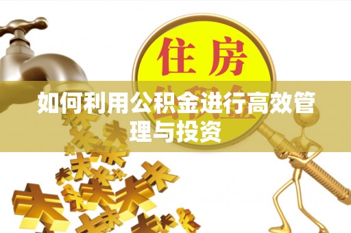 龙子湖如何利用公积金进行高效管理与投资