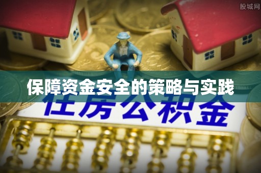 龙子湖保障资金安全的策略与实践