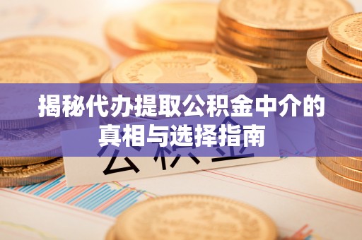 龙子湖揭秘代办提取公积金中介的真相与选择指南