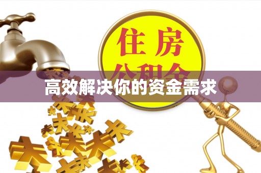 龙子湖高效解决你的资金需求