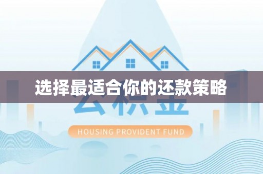 龙子湖选择最适合你的还款策略